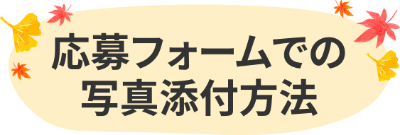 応募フォームでの写真添付方法